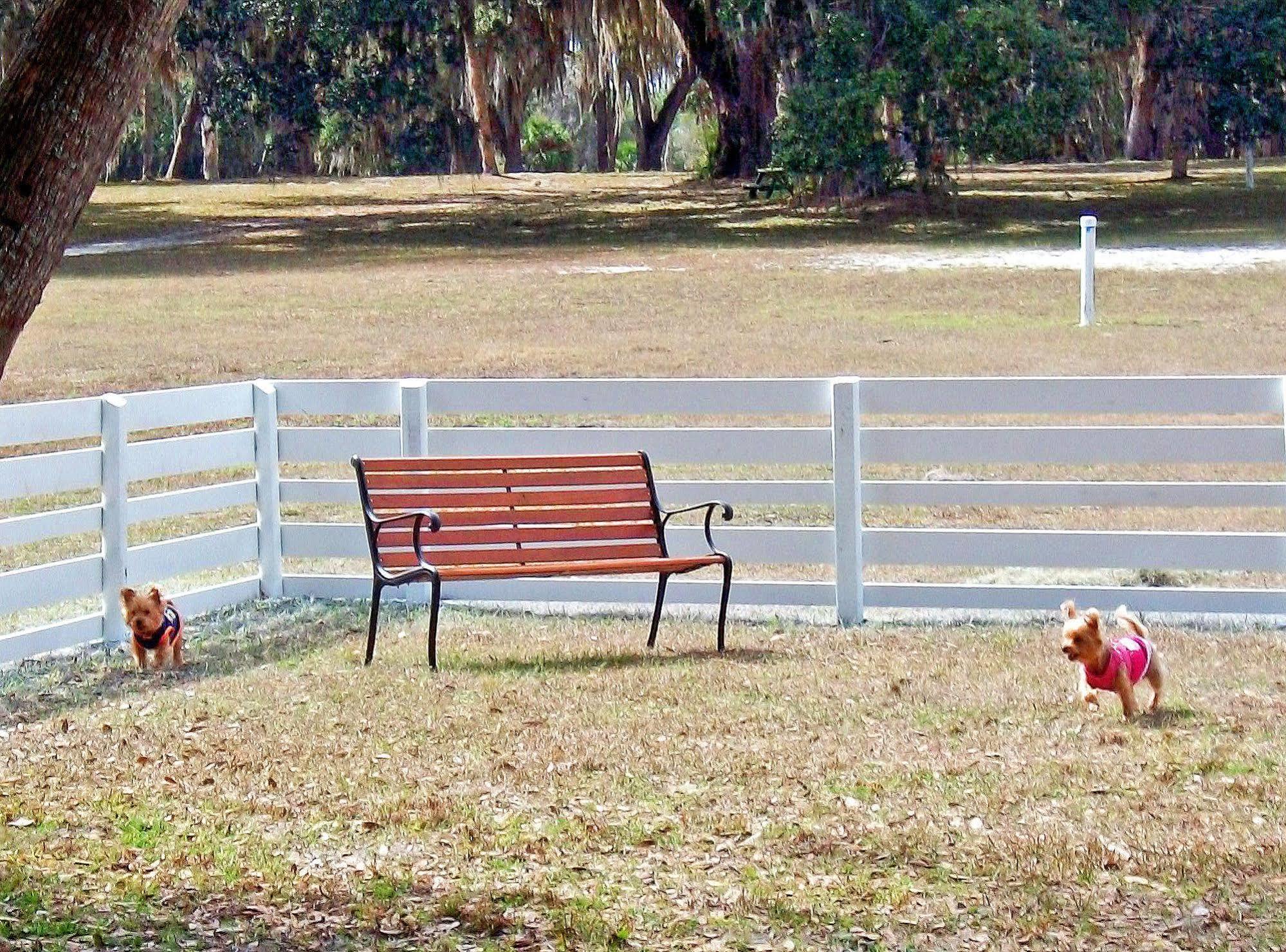 Bulow Rv Resort Flagler Beach Εξωτερικό φωτογραφία