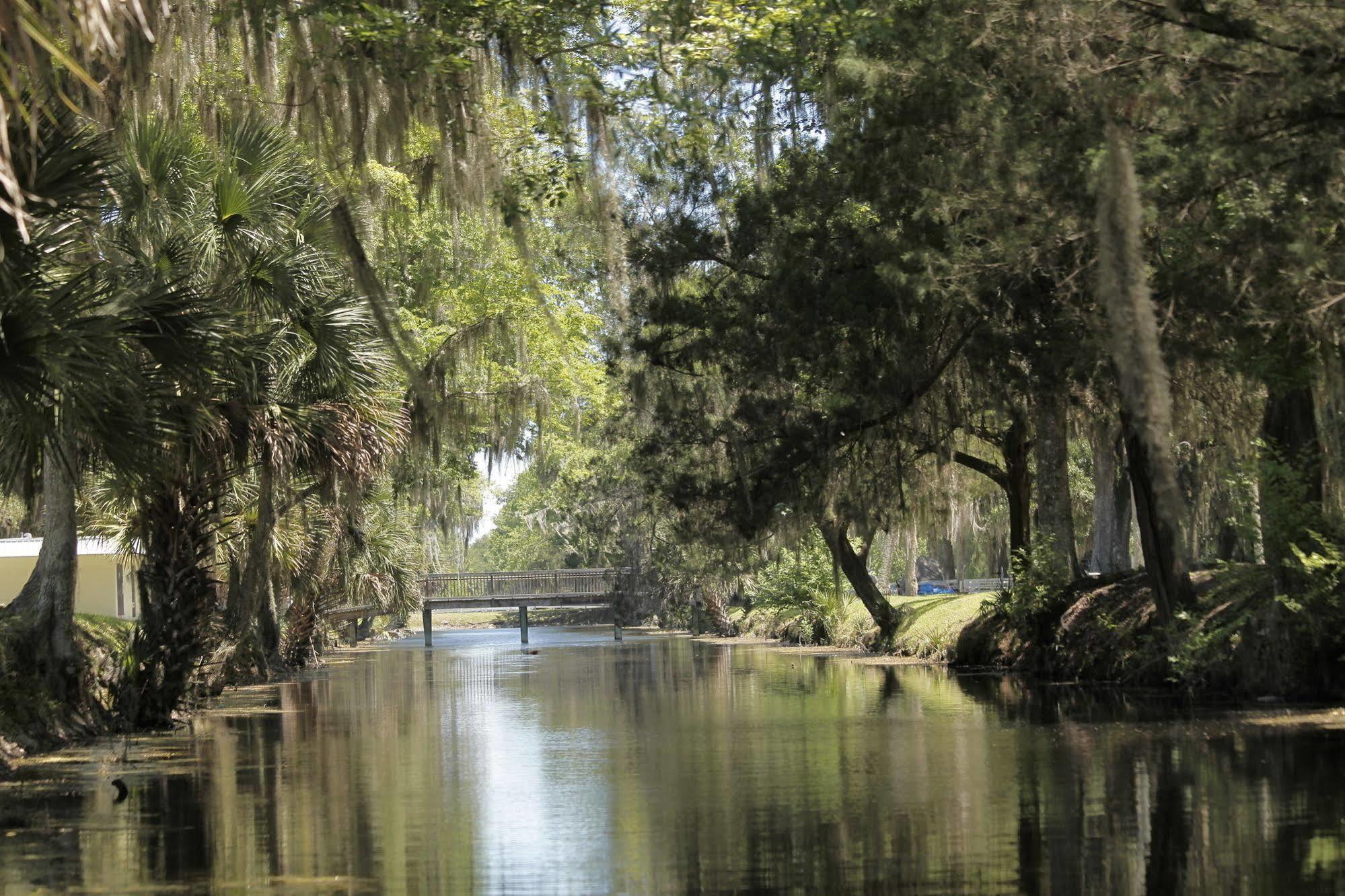 Bulow Rv Resort Flagler Beach Εξωτερικό φωτογραφία